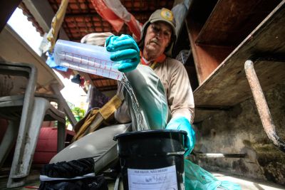 notícia: Sespa lança campanha de combate à dengue, zika e chicungunya