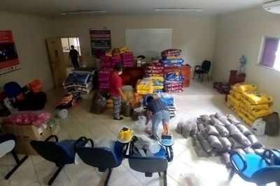 notícia: Campanha arrecada ração para animais da Ilha de Algodoal