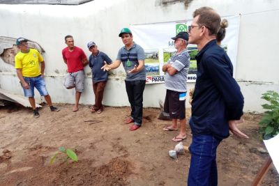 notícia: Agricultores da Transamazônica recebem mudas de cacau diferenciado