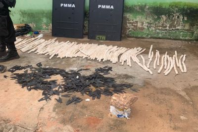 notícia: Polícia Civil prende acusado de roubo a banco ocorrido em São Domingos do Capim