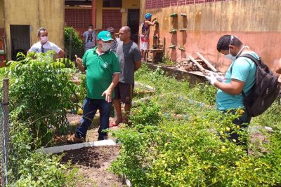 notícia: Com orientação da Emater, abrigados em escola revitalizam horta