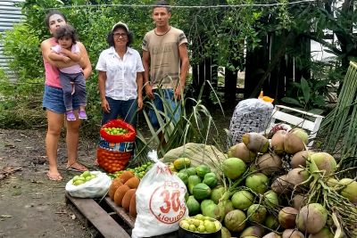notícia: Agricultores atendidos pela Emater fornecem 1,5 tonelada de alimentos sem agrotóxicos
