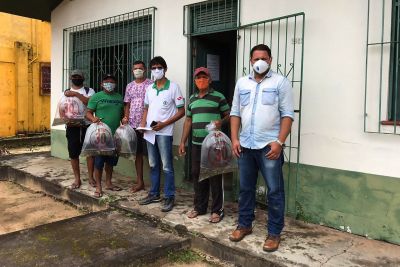 notícia: Criadores de peixe do nordeste recebem 50 mil alevinos de tambaqui