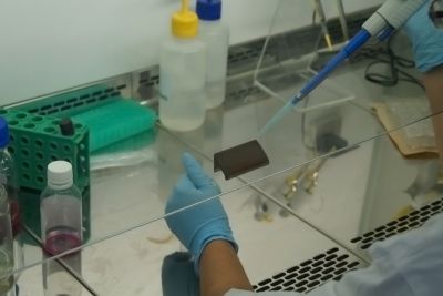 notícia: Uepa participa de pesquisa que avalia atuação de proteína contra o coronavírus