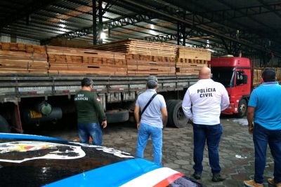 notícia: Operação da Semas apreende carga ilegal com 120 mil cabos de vassoura em porto de Belém