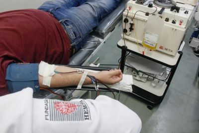notícia: Fundação Hemopa realiza a coleta de plasma de pacientes recuperados da Covid-19