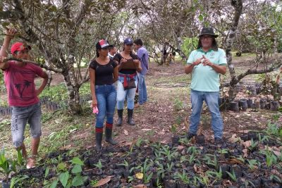 notícia: Governo e agricultores se unem para organizar e fortalecer cadeias produtivas de Igarapé-Açu