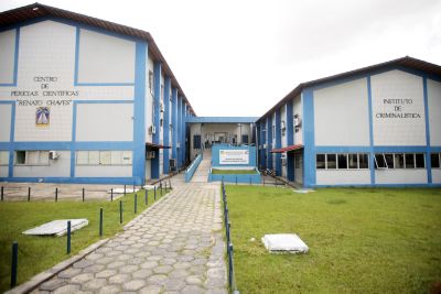 notícia: Centro de Perícias Renato Chaves registra diminuição de corpos; contêineres frigoríficos são desativados