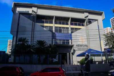 notícia: Recuperados de Covid-19 podem doar plasma à Fundação Hemopa
