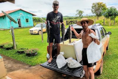 notícia: Piscicultura cresce 15% ao ano em São Félix do Xingu