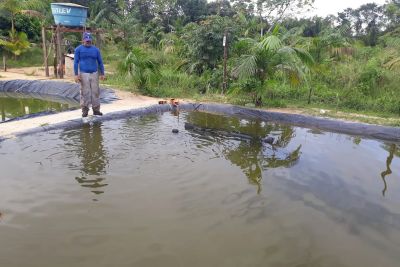 notícia: Comunidade de Mosqueiro investe na piscicultura com apoio da Emater