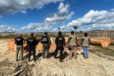notícia: Força de Combate ao Desmatamento Ilegal apreende equipamentos, destrói acampamentos e impede queimadas