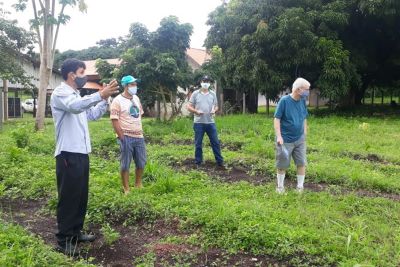 notícia: Sistema de irrigação vai garantir produção anual de limão-thaiti 