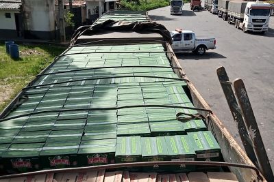 notícia: Sefa apreende mais de 98 mil garrafas de bebida alcoólica mista  