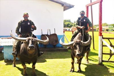 notícia: PM trabalha em parceria pela tranquilidade do verão em Soure