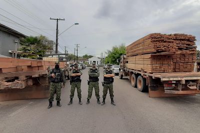 notícia: Companhia de Policiamento Ambiental apreende madeira clandestina em Santarém