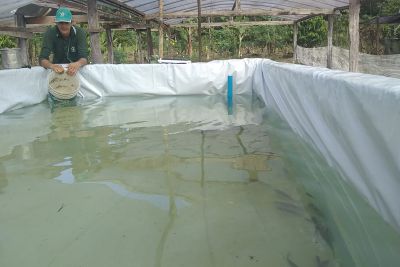 notícia: Emater apoia piscicultura em comunidade de Santa Bárbara 