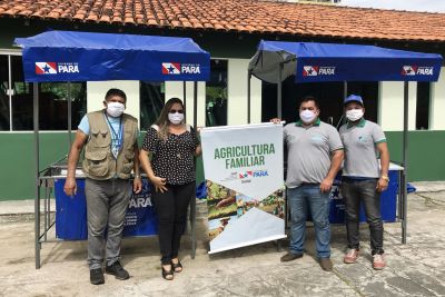 notícia: Sedap entrega barracas em Marituba e incentiva produção familiar