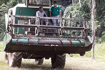 notícia: Agricultor de Almeirim aumenta produção de milho após apoio e icentivo da Emater