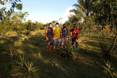 notícia: Projetos da Emater de agrofloresta recuperam natureza e geram renda