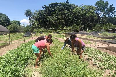 notícia: Sedap investe em ações para desenvolver agricultura familiar 