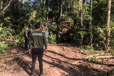 notícia: Segunda fase da Operação Amazônia Viva apreendeu quase 3.000 m³ de madeira em tora