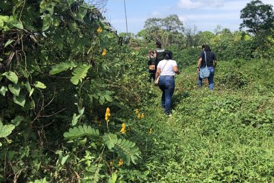 notícia: Técnicos da Semas fiscalizam denúncia de crime ambiental em Marituba