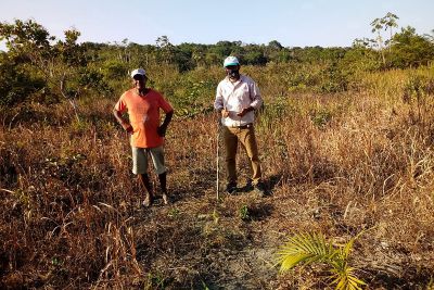 notícia: Agricultores de seis municípios preparam o solo para receber sistemas agroflorestais