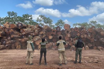 notícia: Semas flagra crimes ambientais em Portel e Bagre, no Marajó