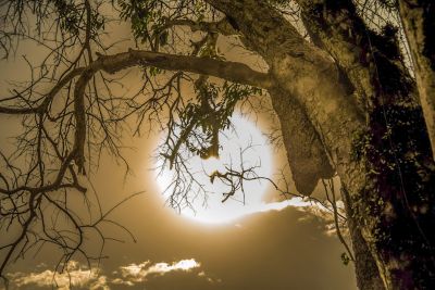notícia: Abertas as inscrições para o concurso fotográfico 'Olhar de Servidor'