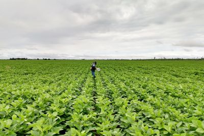 notícia: Adepará celebra 18 anos de atuação em prol do desenvolvimento agropecuário