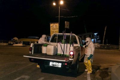 notícia: Adepará aproxima o Pará do status de área erradicada da mosca-da-carambola