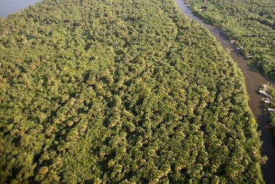 notícia: Semas destaca ações que fazem do Pará exemplo na preservação ambiental