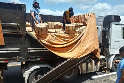 notícia: Operação conjunta apreende carga ilegal de camarão em Ipixuna do Pará