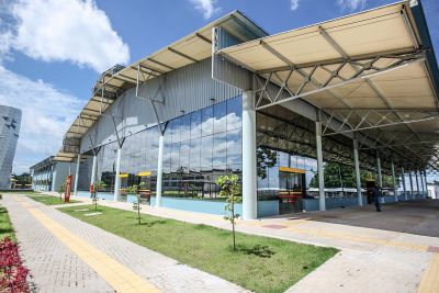 notícia: CIIR alia Setembro Amarelo à luta das pessoas com deficiência