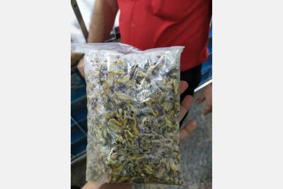 notícia: Fiscalização encontra produtos irregulares em supermercados de Belém