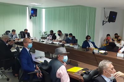 notícia: Conselho de Meio Ambiente concede licença prévia a projeto de mineração