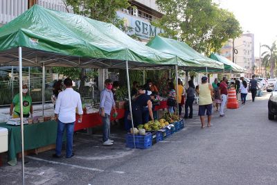 notícia: Produtos agroecológicos são comercializados na 1ª Feira da Agricultura Familiar