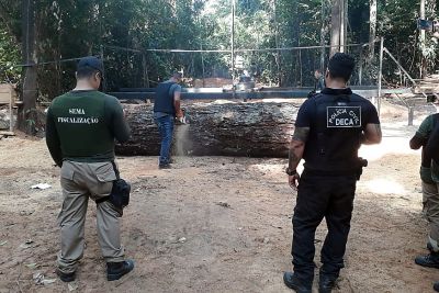 notícia: Operação Amazônia Viva divulga balanço parcial de ações