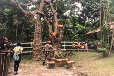 notícia: Ação integrada promove lazer a crianças e entrega alimentos a famílias em Cotijuba