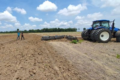 notícia: Adepará fiscaliza vazio sanitário da soja no oeste do Pará
