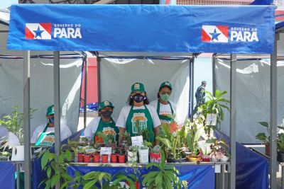 notícia: Produtores de Marituba comemoram boas vendas na Feira da Agricultura Familiar às vésperas do Círio