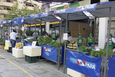 notícia: Feira do Produtor e varejão oferecem ao consumidor produtos de qualidade com preços acessíveis