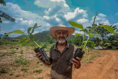 notícia: Territórios Sustentáveis avança no apoio técnico e nos fomentos aos produtores rurais