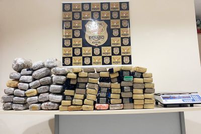 notícia: Policiais civis apreendem mais de 80 quilos de maconha e prendem três pessoas 