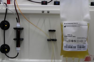 notícia: Plasma convalescente ajuda a recuperar mais de 60% dos pacientes que receberam transfusão