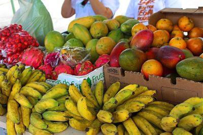 notícia: Feira da Agricultura Familiar da Semas beneficia consumidores e produtores