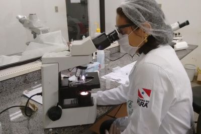 notícia: Oeiras do Pará ganha premiação internacional pela redução dos casos de malária