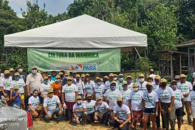 notícia: Sedap promove Dia de Campo e leva orientações aos produtores de mandioca