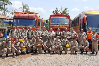 notícia: Bombeiros combate focos de incêndio na 3ª fase da Operação Fênix
